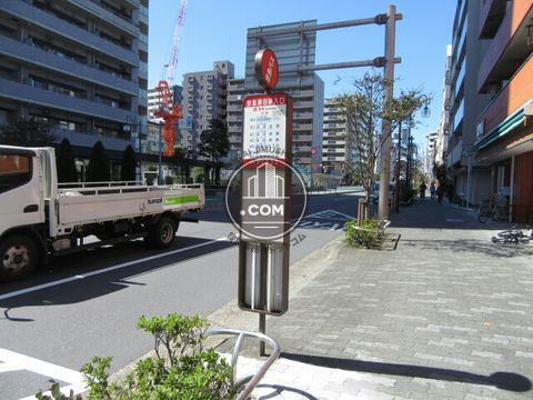 大通り