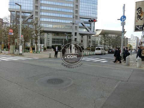 大通り