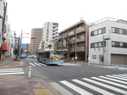 大通り