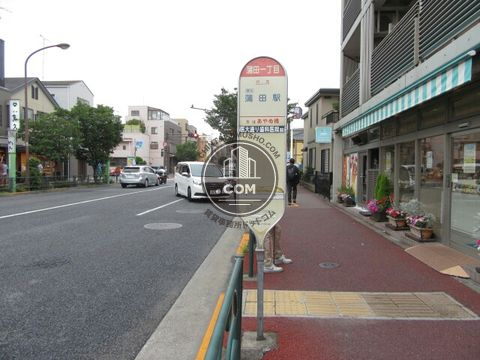 大通り