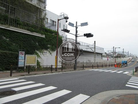 大通り