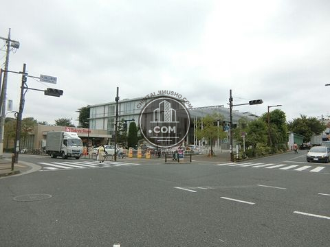 大通り