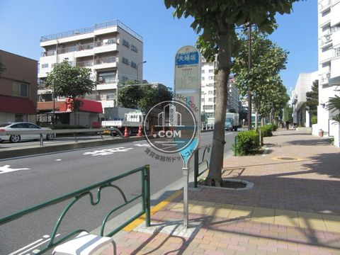 大通り