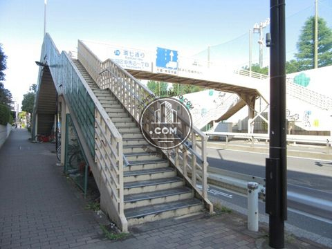 大通り
