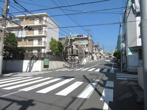 大通り