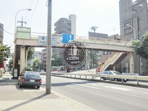 大通り