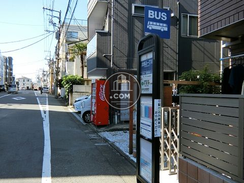大通り