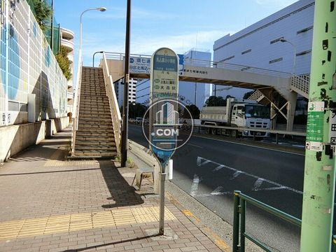 大通り