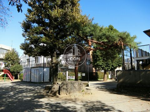 裏路地