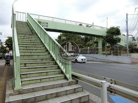 大通り