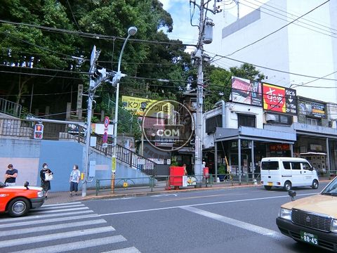 大通り