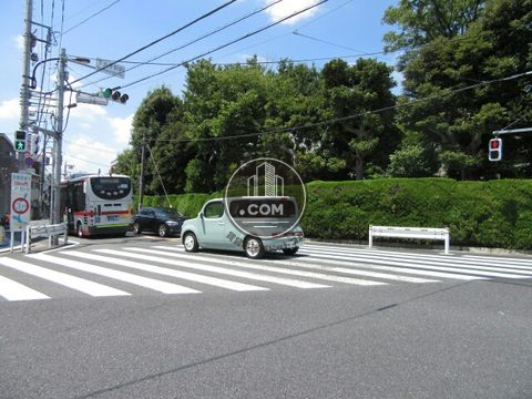 大通り