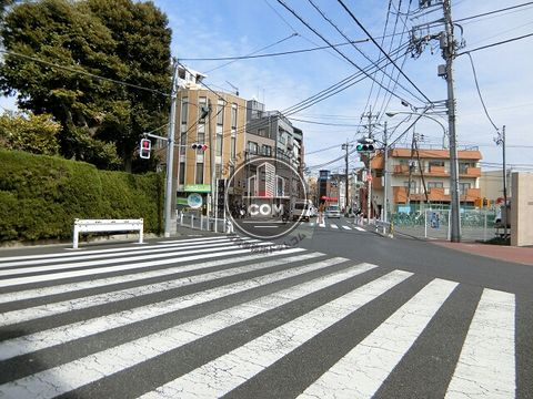 大通り