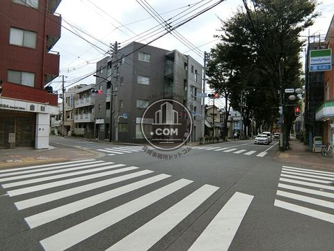 大通り