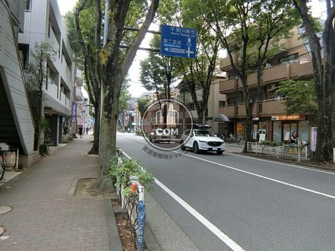 大通り
