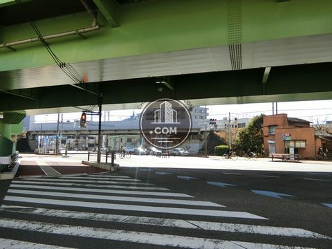 大通り