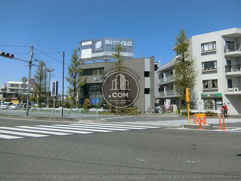 大通り