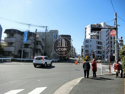 大通り