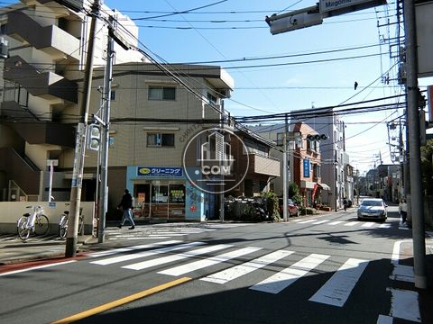 大通り