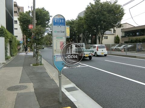 大通り