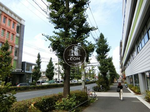 大通り