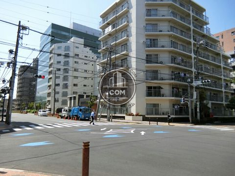 大通り