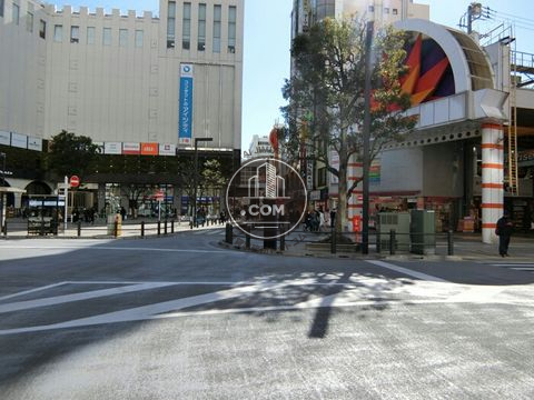 大通り