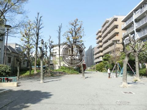 裏路地