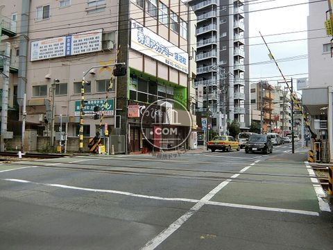 大通り