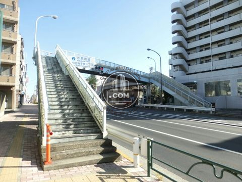 大通り