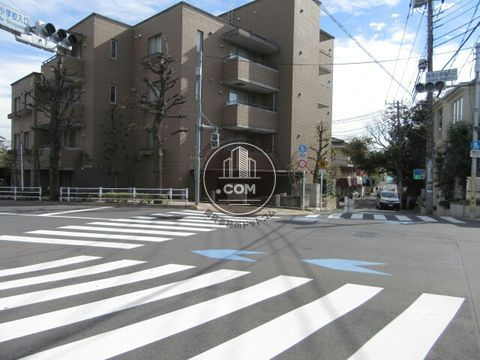 大通り