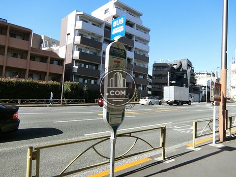 大通り