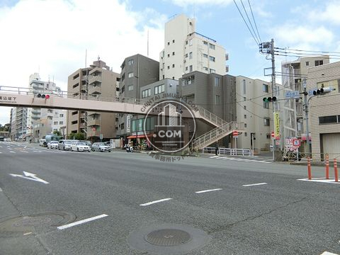大通り