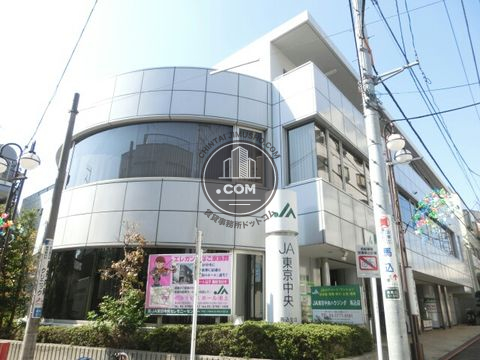 大通り