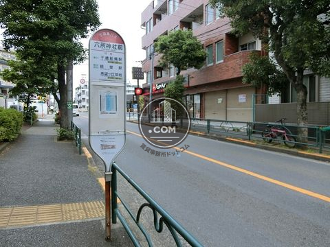 大通り