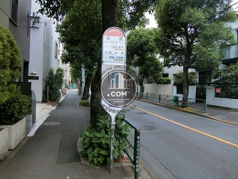 大通り