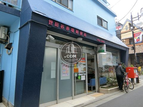 大通り