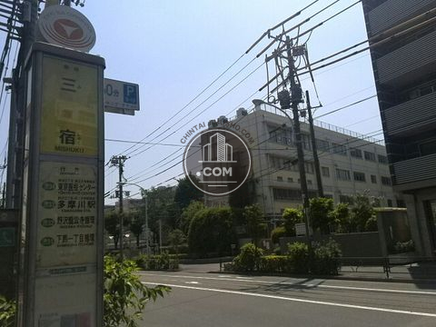 大通り