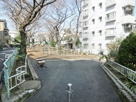 玉川上水緑道