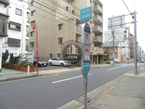 大通り