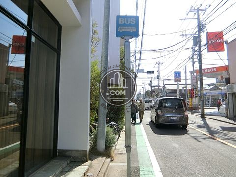 大通り