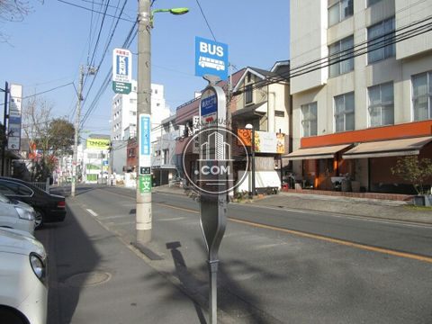 大通り