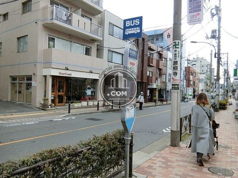 大通り