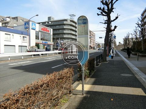 大通り