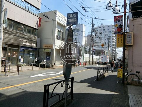 大通り