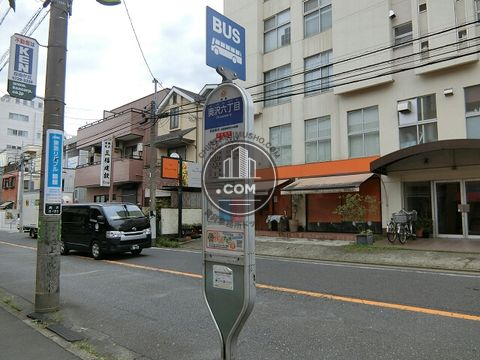 大通り