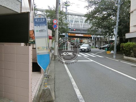 大通り