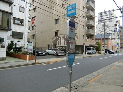 大通り