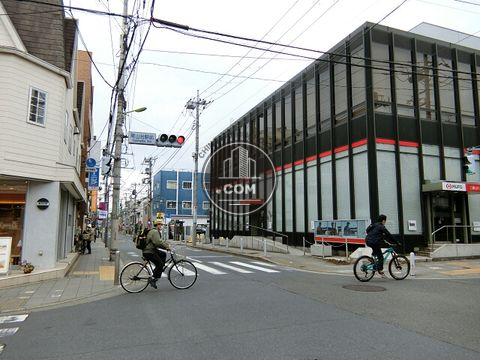 大通り