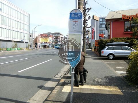 大通り
